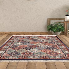 Alanur Home Eko Trend Djt Halı Yıkanabilir Kaymaz Taban S5008 Persian Renkli