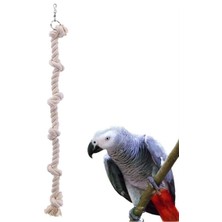 Ahşap Pusula Uniqbirdtoys uniq Bird Toys Papağan Kuş Stres Halatı