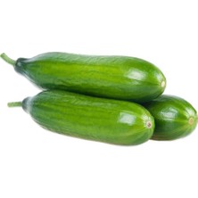 Bursa Tohum Bt Bursalpha Hıyar ( Salatalık ) Tohum 10 gr (350 Adet Tohum)