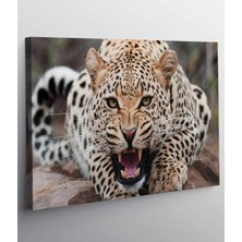 Vera Store Leopar Kanvas Tablo