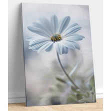 Vera Store Papatya Resimli Kanvas Tablo