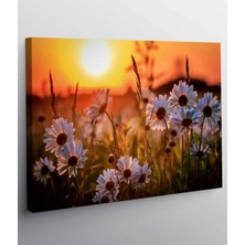 Vera Store Çiçek Resimli Kanvas Tablo