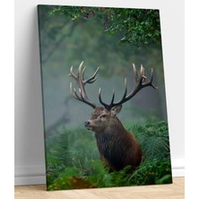 Vera Store Geyik Resimli Kanvas Tablo