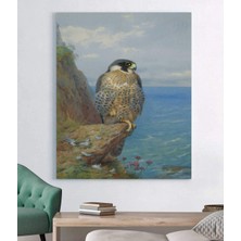 Vera Store Archibald Thorburn Alaca Doğan Kanvas Tablo