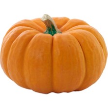 Sebze Meyve Dünyası Tatlı Kabağı kg