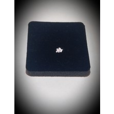 Begonia Accessories 925 Ayar Gümüş Zirkon Taşlı Defne Yaprağı Hızma