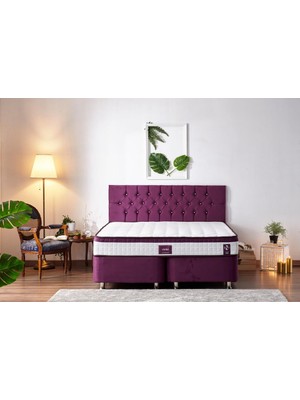 Niron Violet Yatak Seti 140x190 cm Çift Kişilik Yatak Baza Başlık Takımı - Orta Sert Kuş Tüyü Yatak Mor Baza ve Başlığı