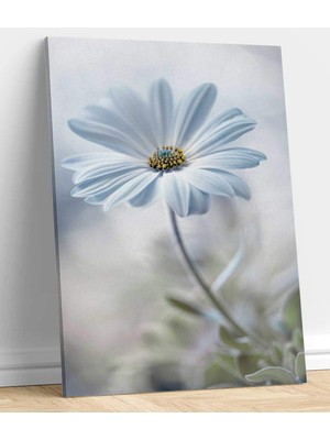 Vera Store Papatya Resimli Kanvas Tablo