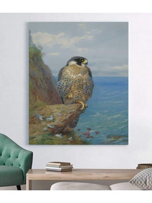 Vera Store Archibald Thorburn Alaca Doğan Kanvas Tablo