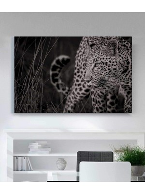 MonoStella Leopar Kanvas Tablo