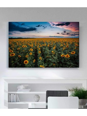 MonoStella Ayçiçek Resimli Kanvas Tablo