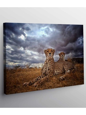 MonoStella Leopar Kanvas Tablo