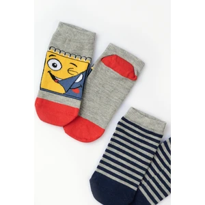 Grey Erkek Çocuk Desenli 2 'li Çorap