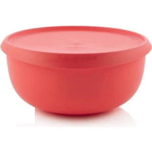 Yoca 4.3 Lt Saklama Kabı
