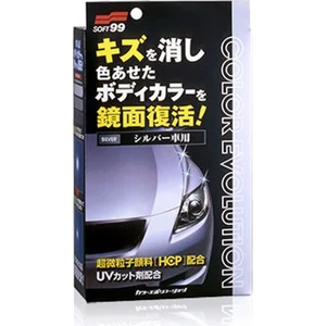 Color Evolution Renkli Cila Gümüş 100 ml