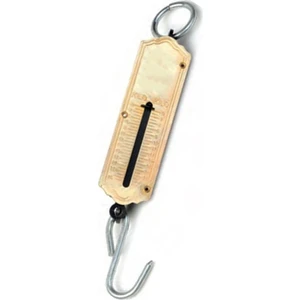 Pocket Balance EK521 Profesyonel El Terazisi El Kantarı 25 kg 1410