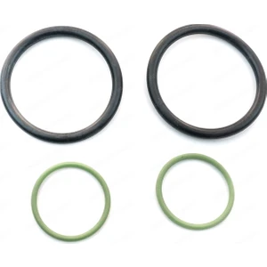 Bross Otomotiv Bmw N40 N42 N45 N46 N62 N73 Motor Için Vanos O-Ring Conta Seti