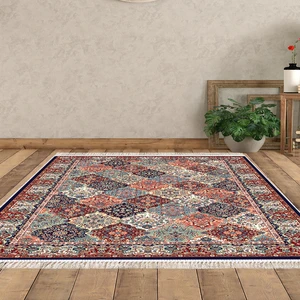 Alanur Home Eko Trend Djt Halı Yıkanabilir Kaymaz Taban S5008 Persian Renkli