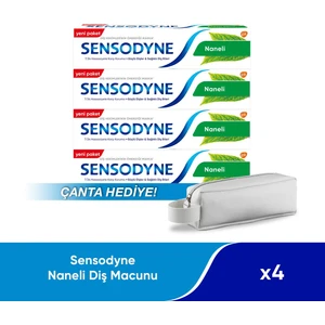 Naneli Diş Macunu 75 ml X4 Çanta Hediye