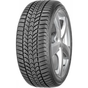 225/50 R17 98V XL Frigo Hp 2 Fp Oto Kış Lastiği ( Üretim Yılı: 2023 )