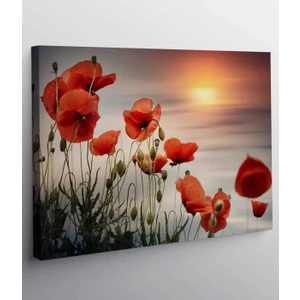 Vera Store Çiçek Resimli Kanvas Tablo