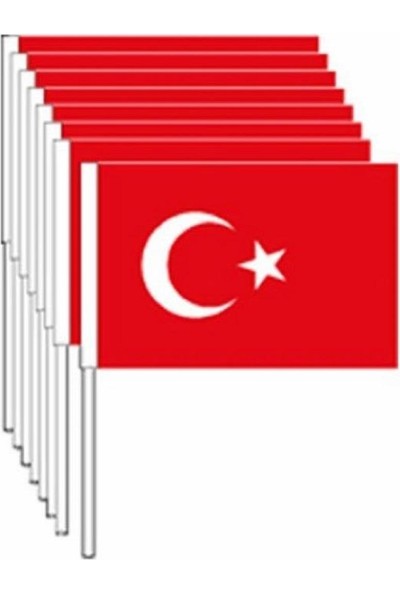 Vatan Bayrak Türk Bayrağı Küçük 100 Lü VT801-VT802