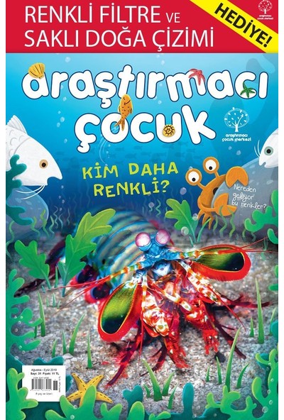 31. Sayı - Kim Daha Renkli?