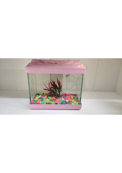Küçük Akvaryum Aksesuarlı 20 cm 4 Litre Pembe fiyatları