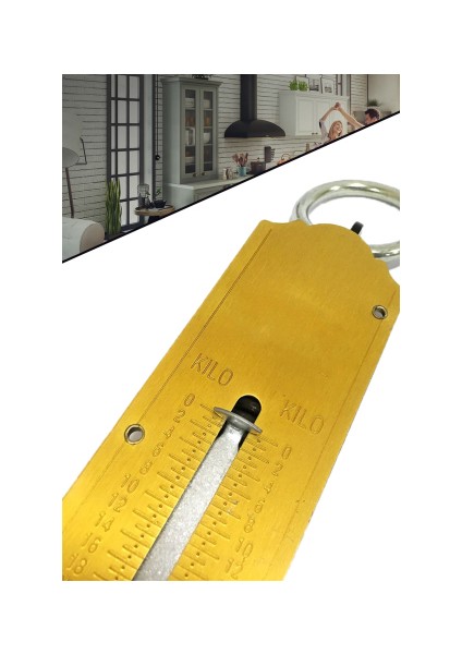 Pocket Balance EK522 50 kg Kapasiteli Mekanik Metal El Kantarı Tartısı 1410