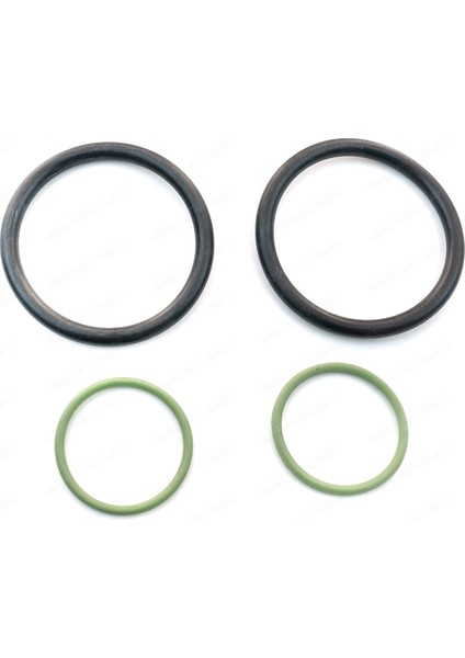 Bmw N40 N42 N45 N46 N62 N73 Motor Için Vanos O-Ring Conta Seti