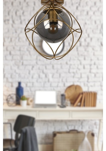 Modern Metal Tekli Siyah-Füme Camlı Tavan Montaj Avize