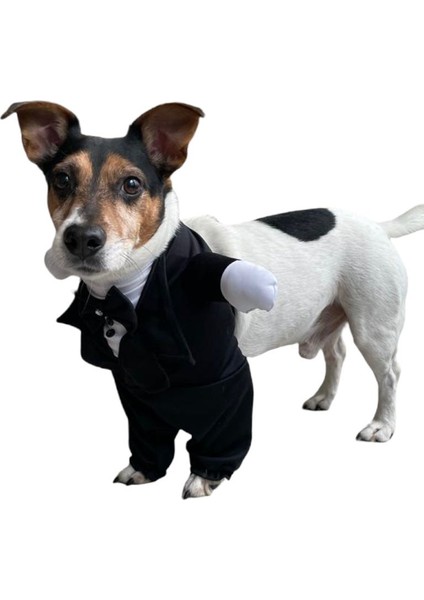 Damatlık Köpek Kostümü S Siyah