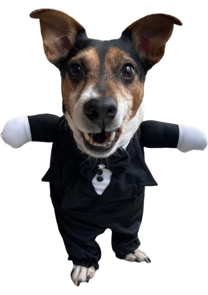 Damatlık Köpek Kostümü S Siyah