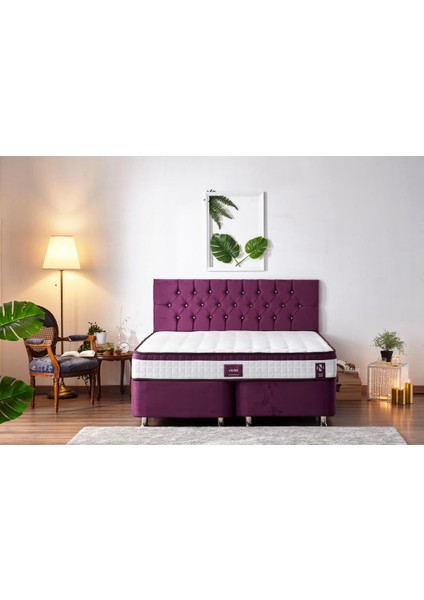 Niron Violet Yatak Seti 200x200 cm Çift Kişilik Yatak Baza Başlık Takımı - Orta Sert Kuş Tüyü Yatak Mor Baza ve Başlığı