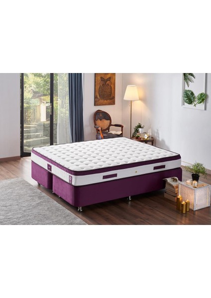 Niron Violet Yatak Seti 200x200 cm Çift Kişilik Yatak Baza Başlık Takımı - Orta Sert Kuş Tüyü Yatak Mor Baza ve Başlığı