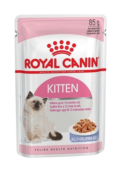 Kitten Jelly Kedi Konservesi x 12