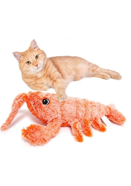 Kedi Oyuncakları (Yurt Dışından) fiyatları