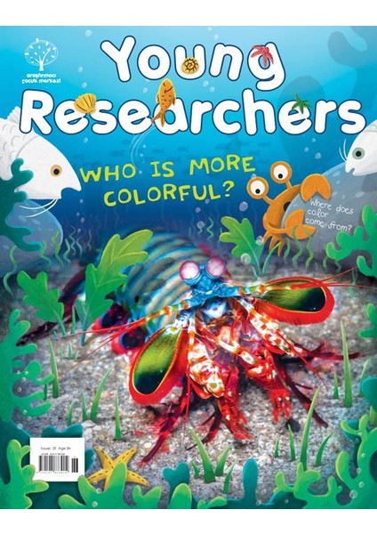 Issue 31 - Who Is More Colorful?