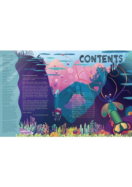 Issue 31 - Who Is More Colorful?
