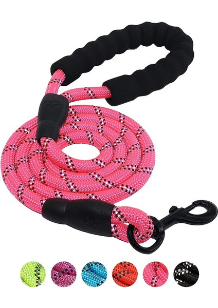 Köpekler Için Noel Yaka Kostümü (Yurt Dışından)