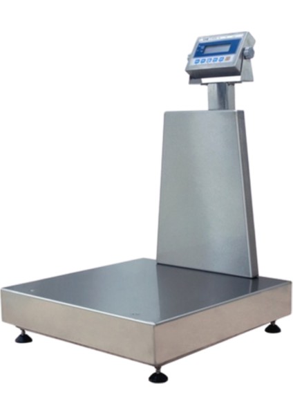 Cas Paslanmaz Baskül Dbıı 60 x 70 300 kg