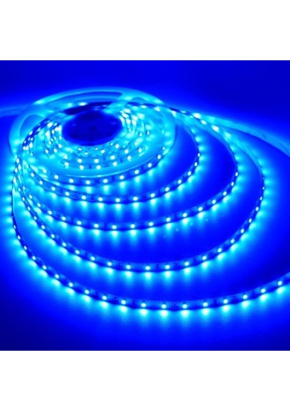 Şerit LED Mavi Dış Mekan 50X50 5mt.