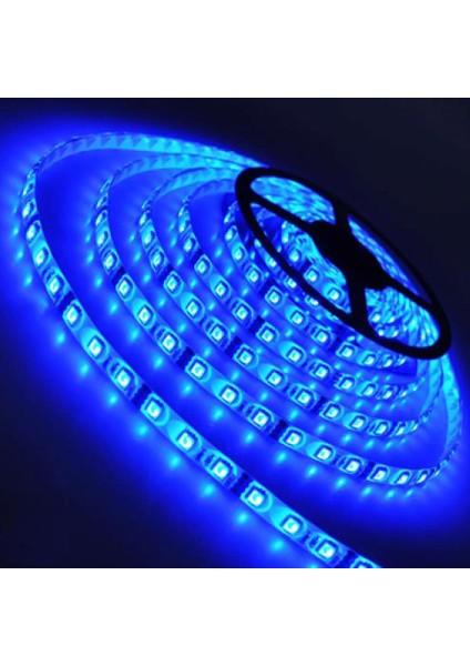 Şerit LED Mavi Dış Mekan 50X50 5mt.
