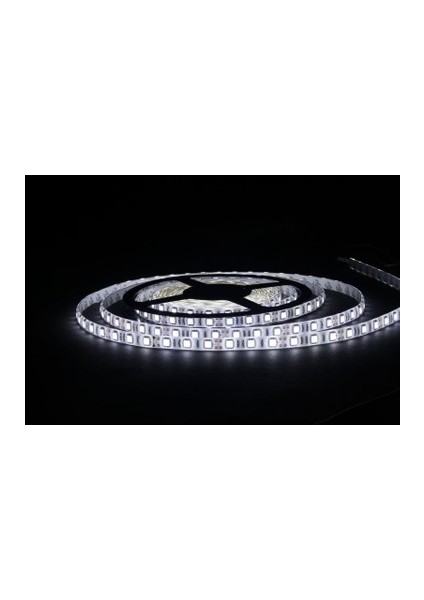 CT4480 Iç Mekan 10 Çipli Şerit LED Beyaz 5 Metre Dg Light