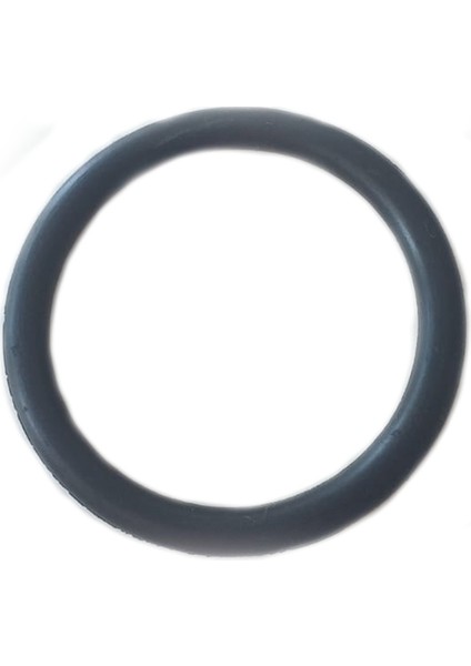 Kestart Oringi - 55X5MM