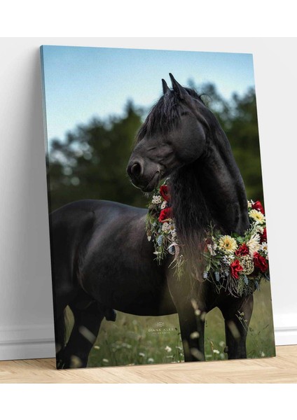 At Resimli Kanvas Tablo fiyatları