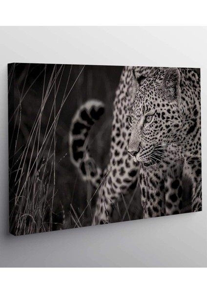 Leopar Kanvas Tablo fiyatları