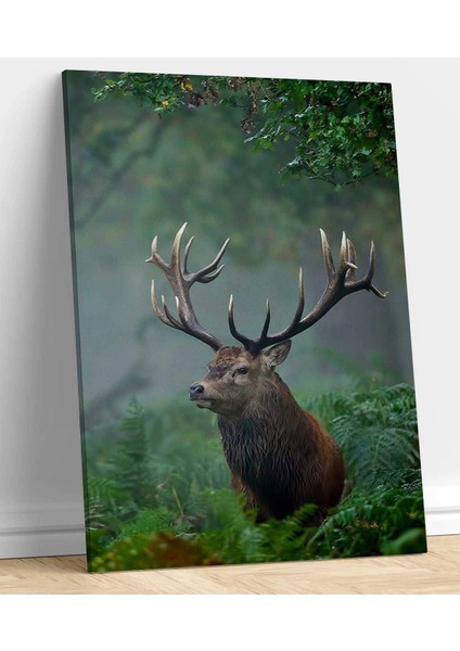 Geyik Resimli Kanvas Tablo