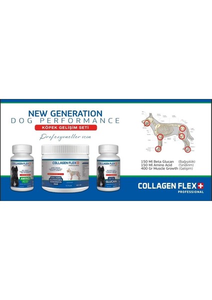 Collagen Flex Ileri Düzey Köpek Gelişim Seti