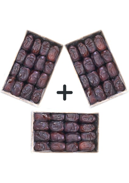 Iran Hurma 500 gr × 3 paket